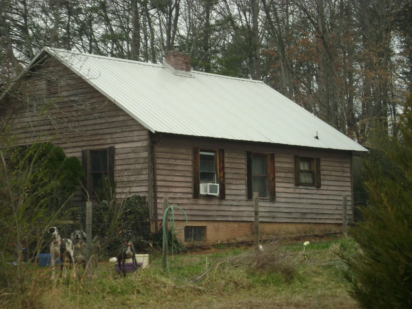 White metal roof on an old wood sided farmhouse, from a Asphalt Shingle Roof Repair job in Moline